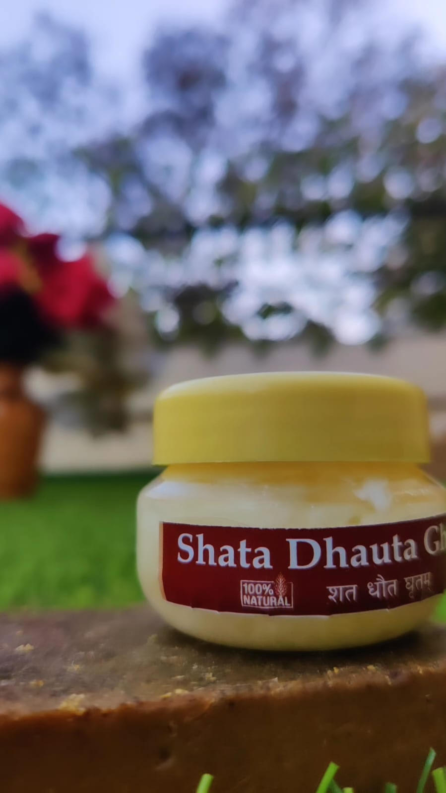 Shata Dhauta Ghritam